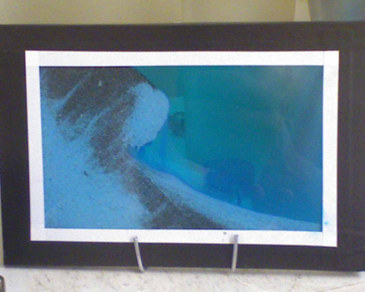 Imagem de referência relacionada a Quadro de areia, item descrito como arte visual de imagens mutáveis com areia