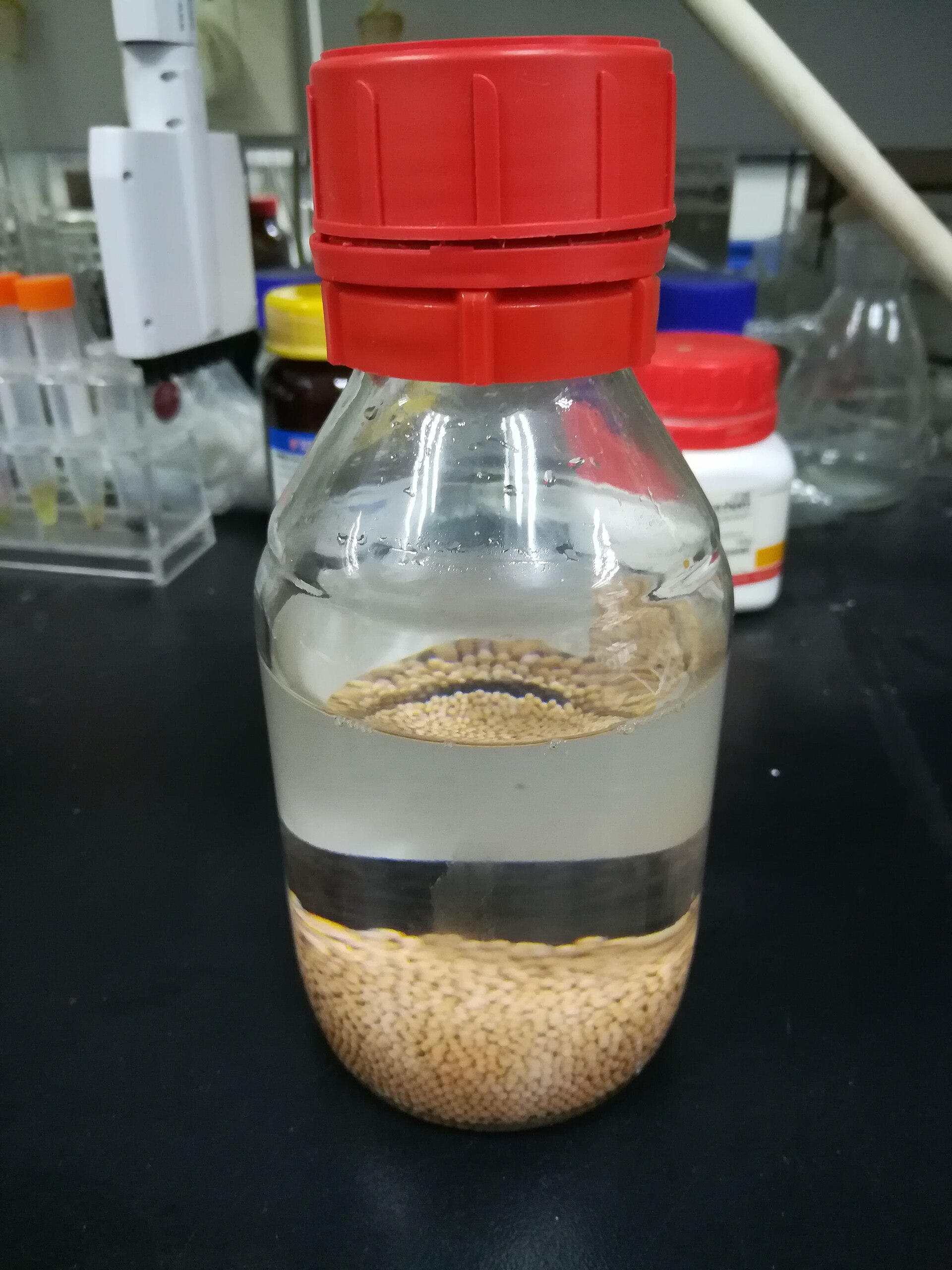 Imagem de referência de Dimetilacetamida, descrito nos dados abertos como composto químico