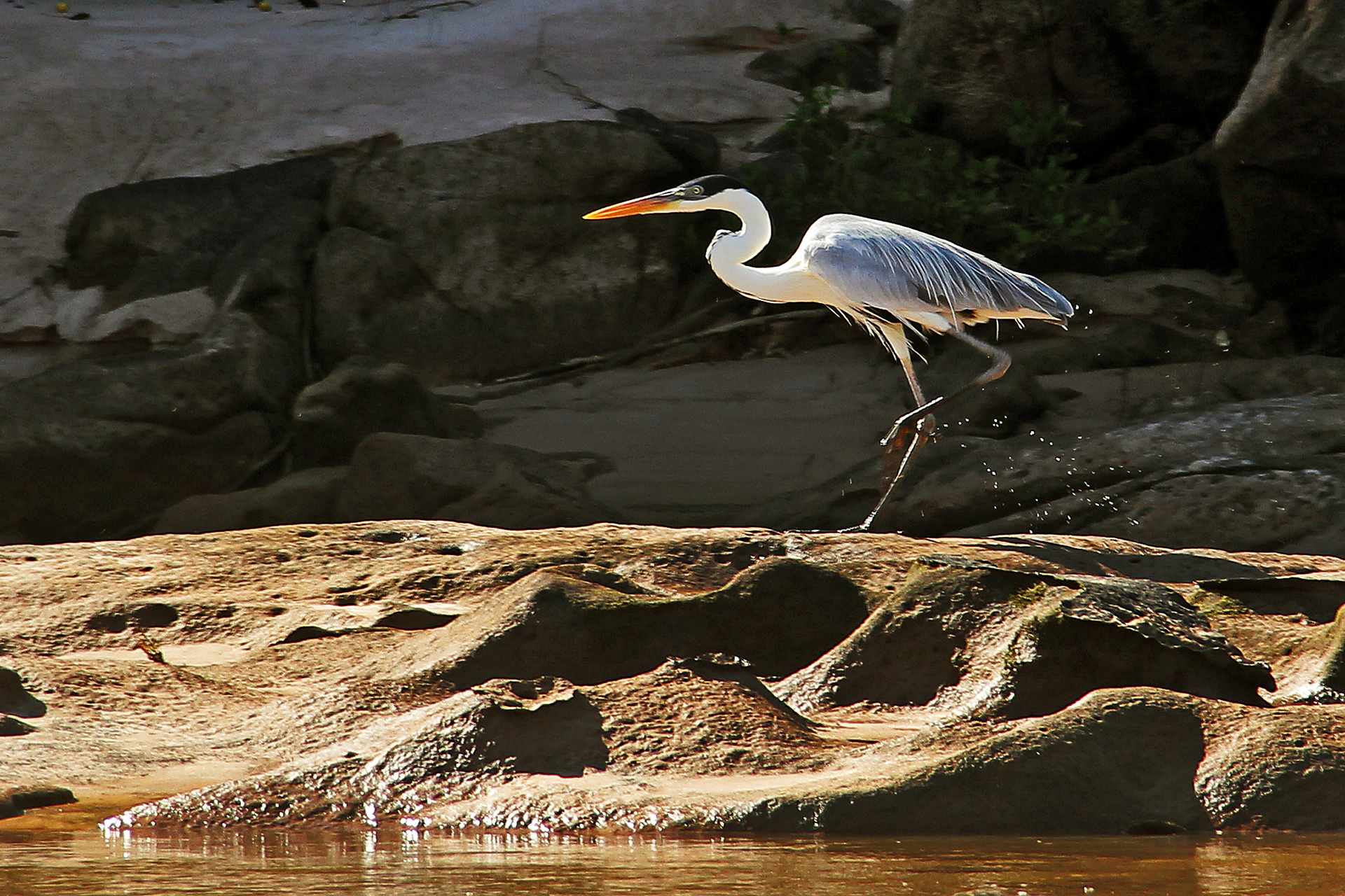 Imagem de referência de Parque Nacional do Araguaia, descrito nos dados abertos como unidade de conservação da natureza pertencente ao governo federal brasileiro