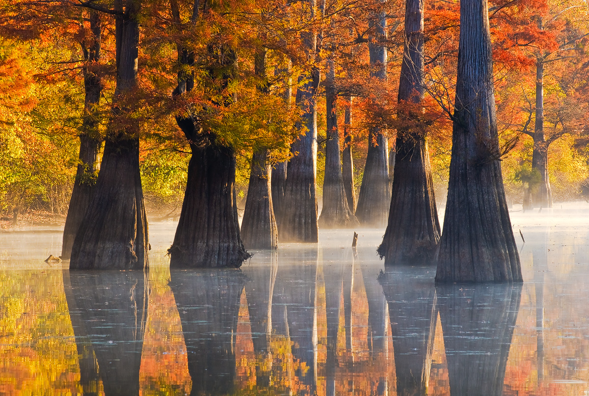 Imagem de referência de Arkansas, descrito nos dados abertos como estado dos Estados Unidos