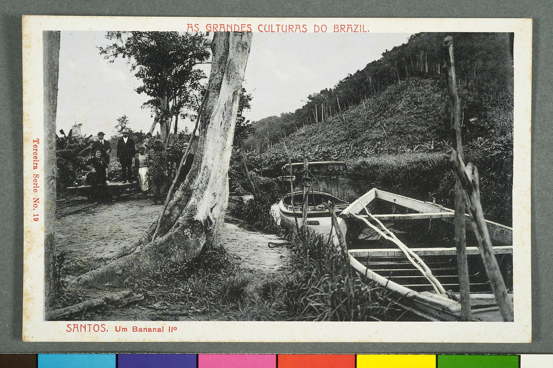 Imagem de referência de As Grandes Culturas do Brazil. Santos. um Bananal Iiº, descrito nos dados abertos como item da Coleção Cartões Postais, no Museu Paulista