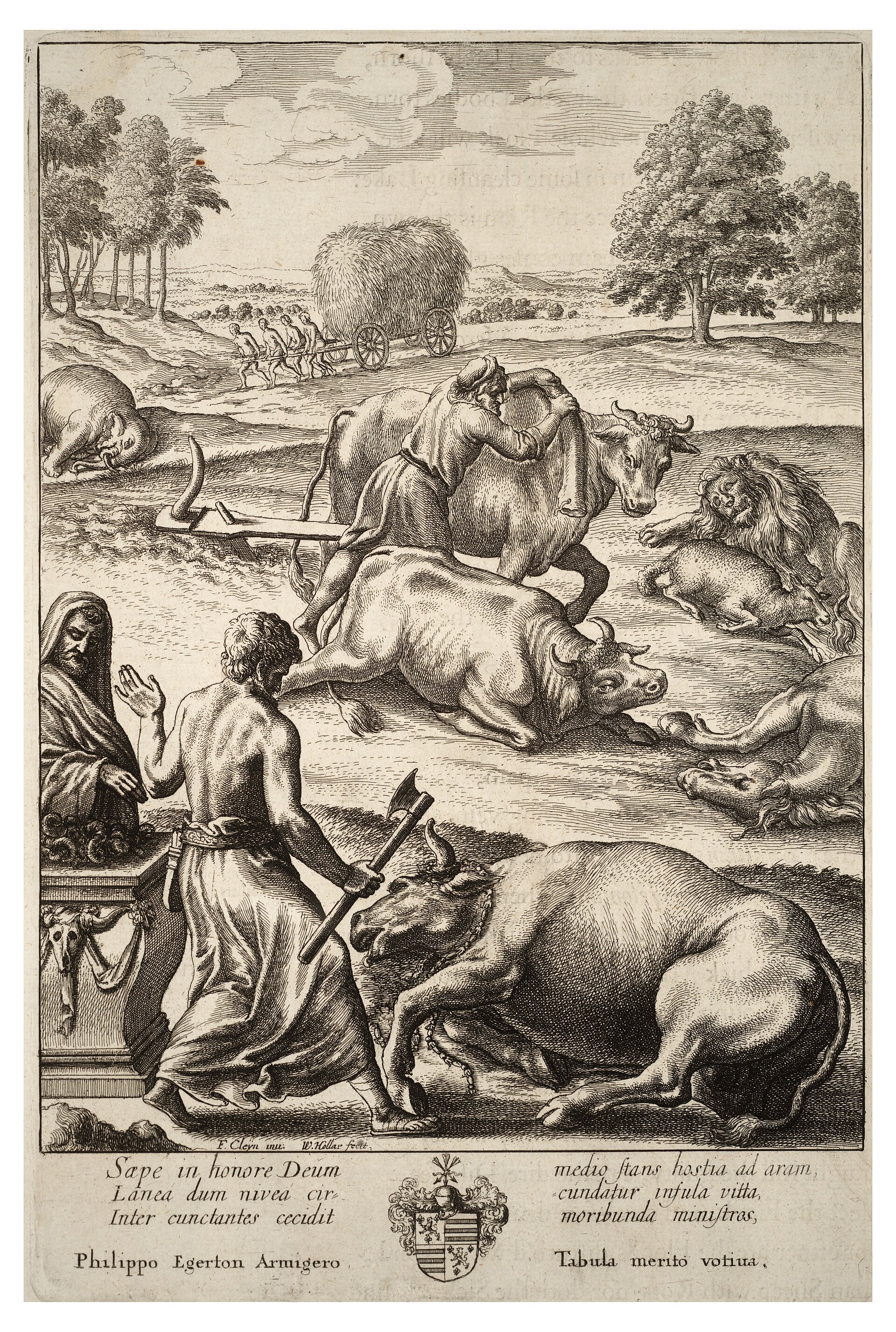 Imagem de referência de peste bovina, descrito nos dados abertos como doença erradicada, causada pelo vírus da peste bovina