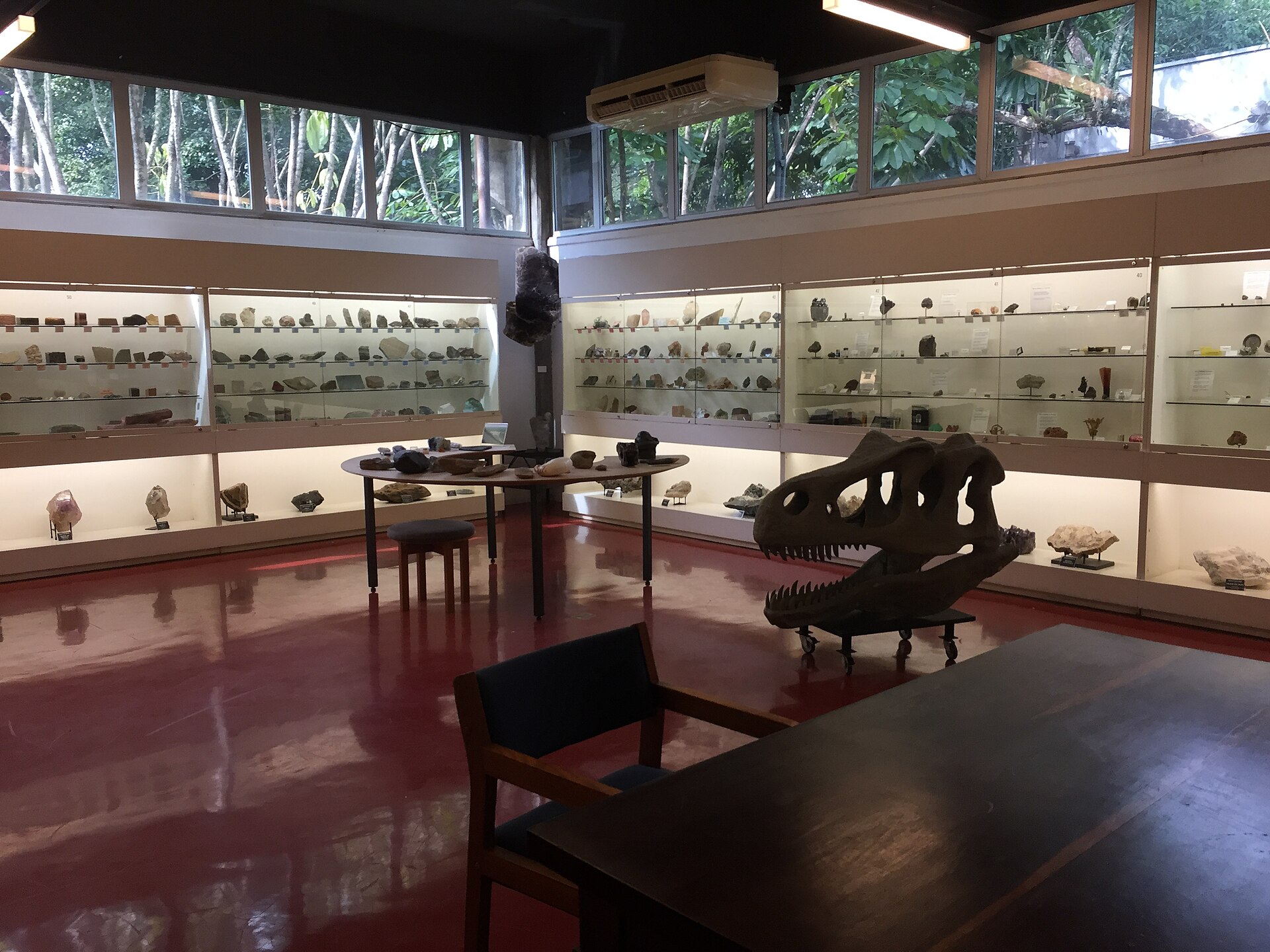 Imagem de referência de Museu de Geociências do Instituto de Geociências da Universidade de São Paulo, descrito nos dados abertos como museu em São Paulo, Brasil