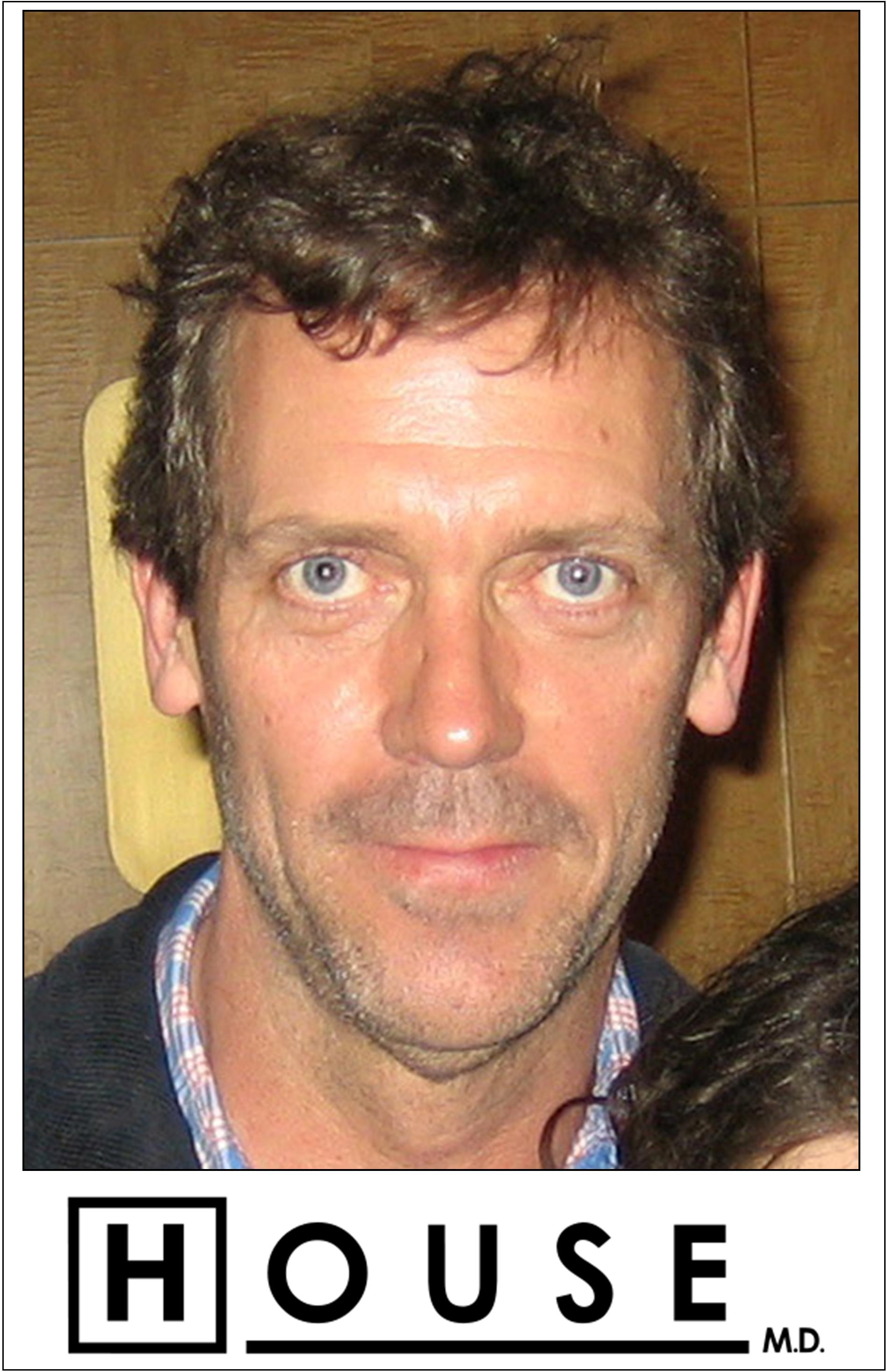 Imagem de referência de Gregory House, descrito nos dados abertos como personagem interpretado por Hugh Laurie
