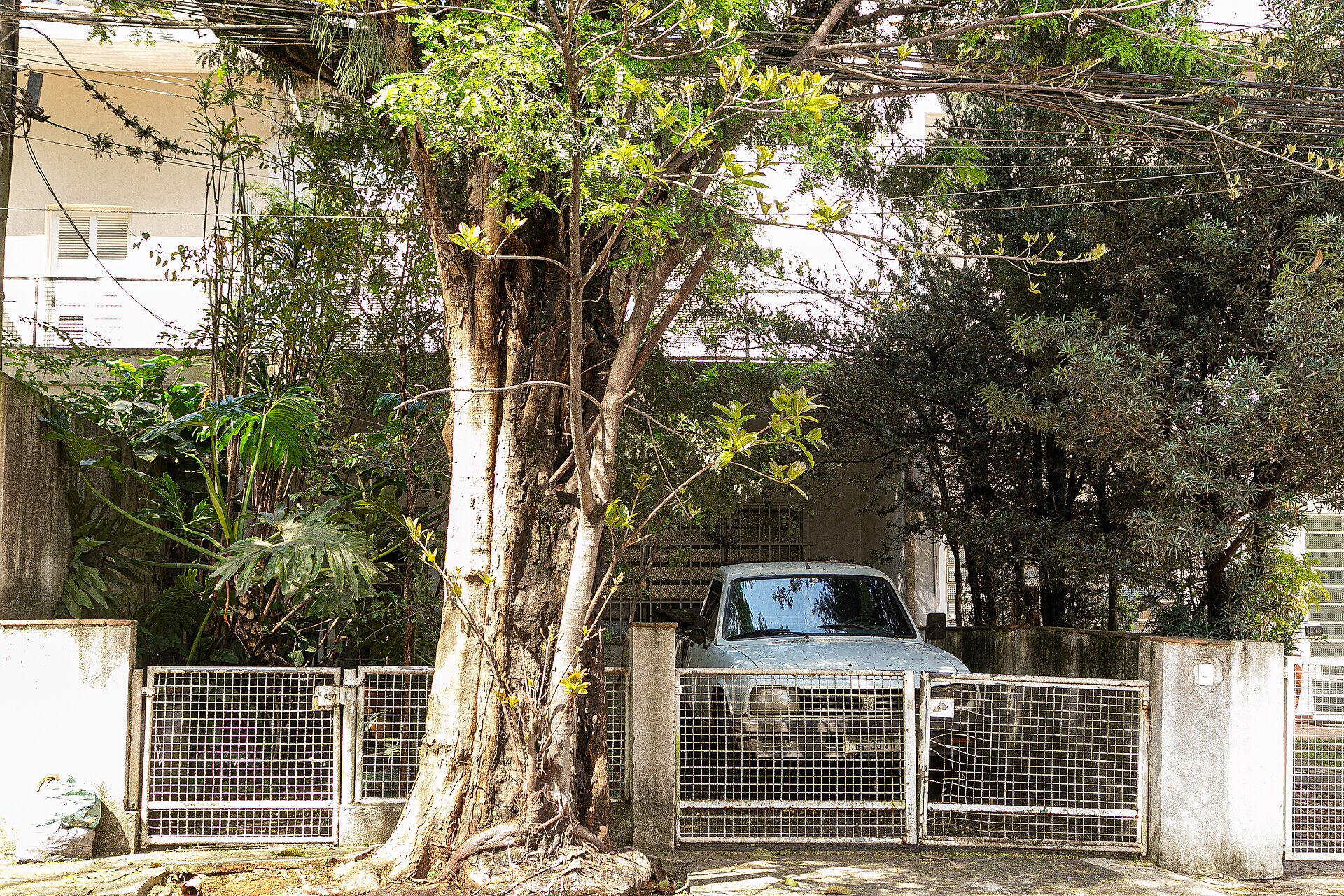Imagem de referência de Imóvel à Rua Berta, nº 118, descrito nos dados abertos como bem tombado em São Paulo, São Paulo, Brasil