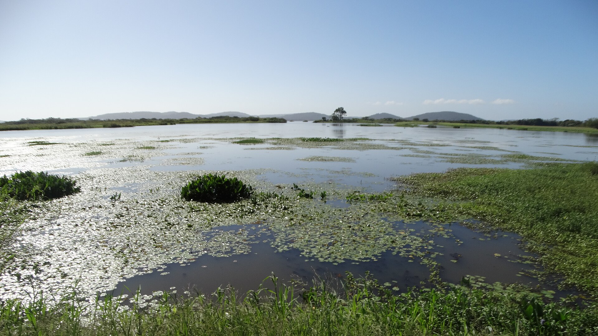 Imagem de referência de Reserva Biológica do Lami José Lutzenberger, descrito nos dados abertos como reserva Biológica do Lami José Lutzenberger está localizada em Porto Alegre, Rio Grande do Sul