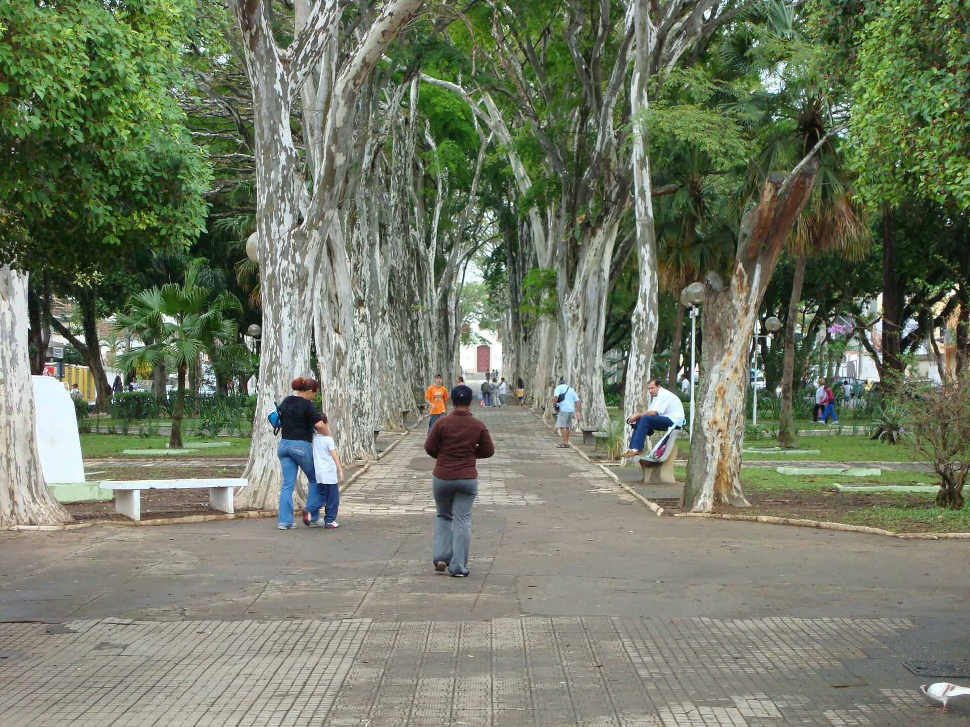 Imagem de referência de Campo Belo, descrito nos dados abertos como distrito da cidade de São Paulo