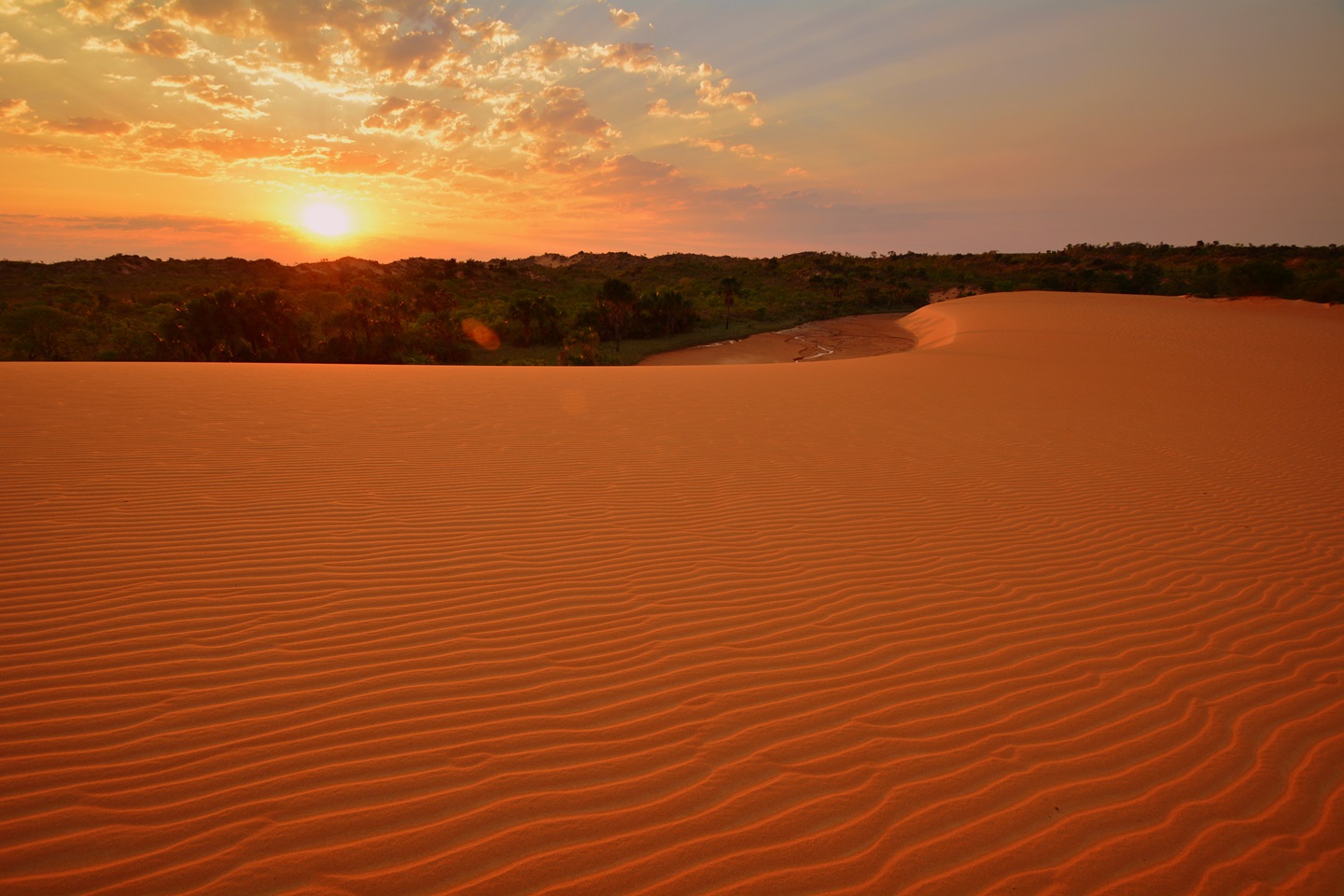 Imagem de referência de Parque Estadual do Jalapão, descrito nos dados abertos como unidade de conservação da natureza pertencente ao governo do estado de Tocantins