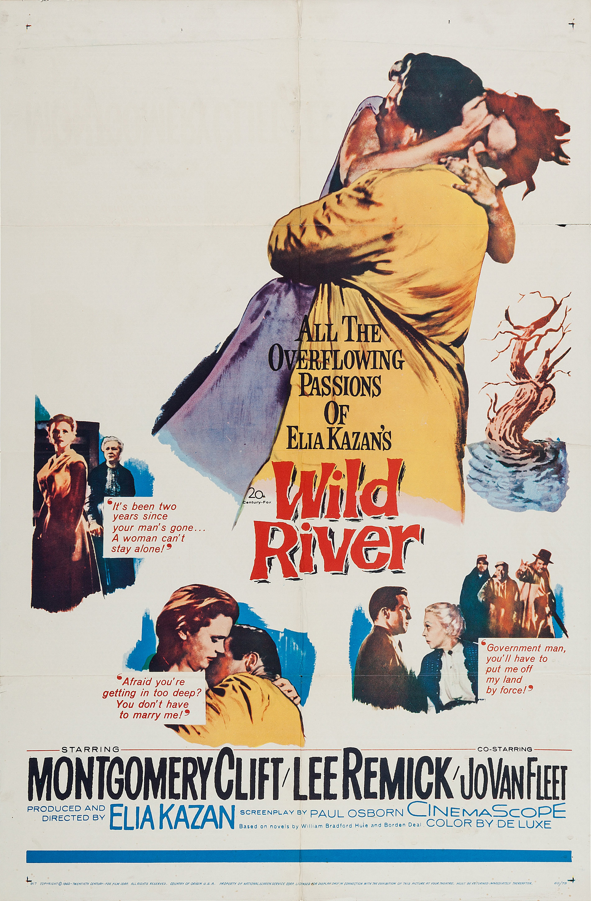 Imagem de referência relacionada a Wild River, item descrito como filme de 1960 dirigido por Elia Kazan