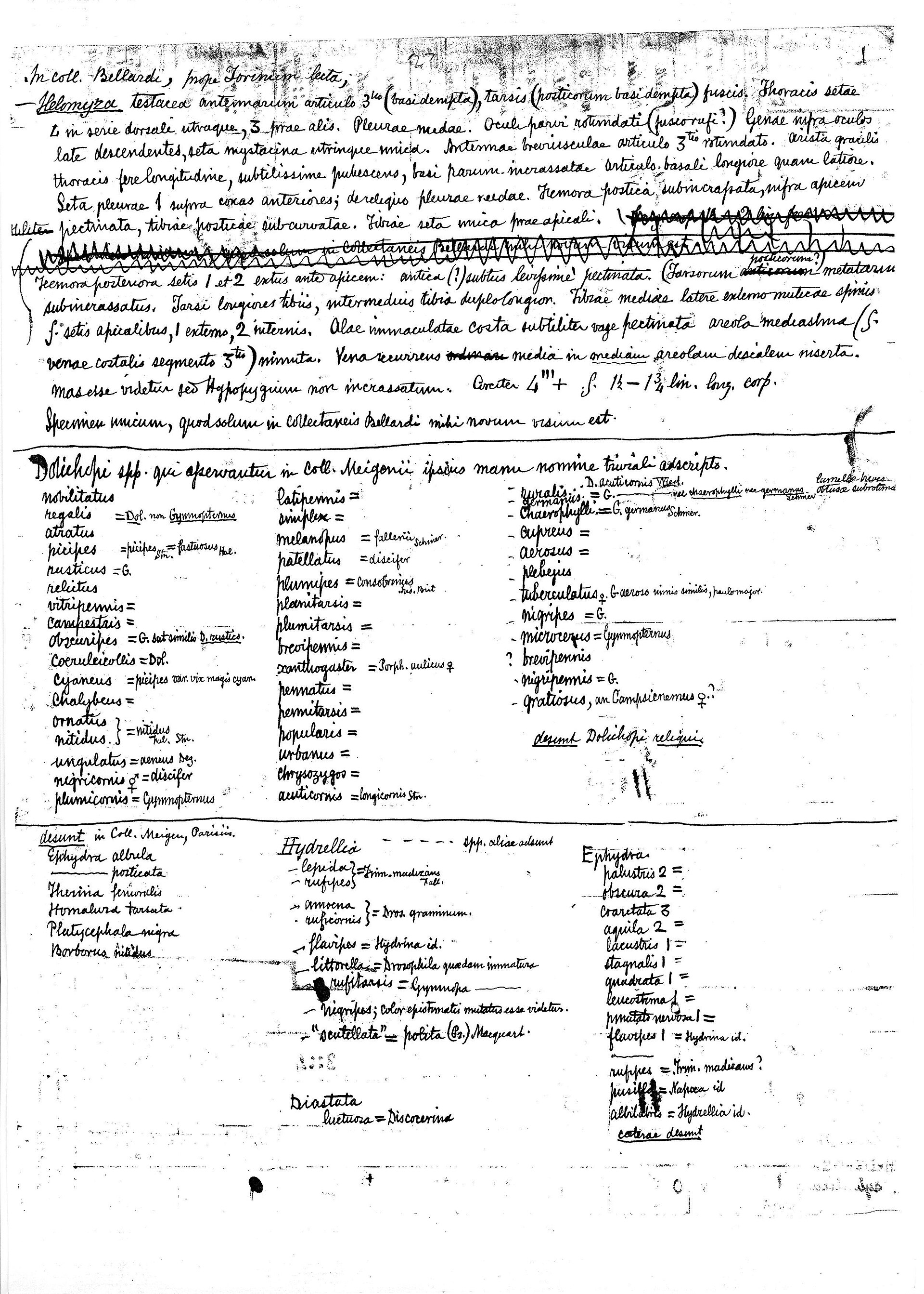 Imagem de referência relacionada a Calderino, item descrito como registro de referência sobre Calderino, organizado a partir de dados estruturados abertos