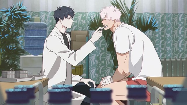 15 animes BL para assistir em 2026 e morrer de amores