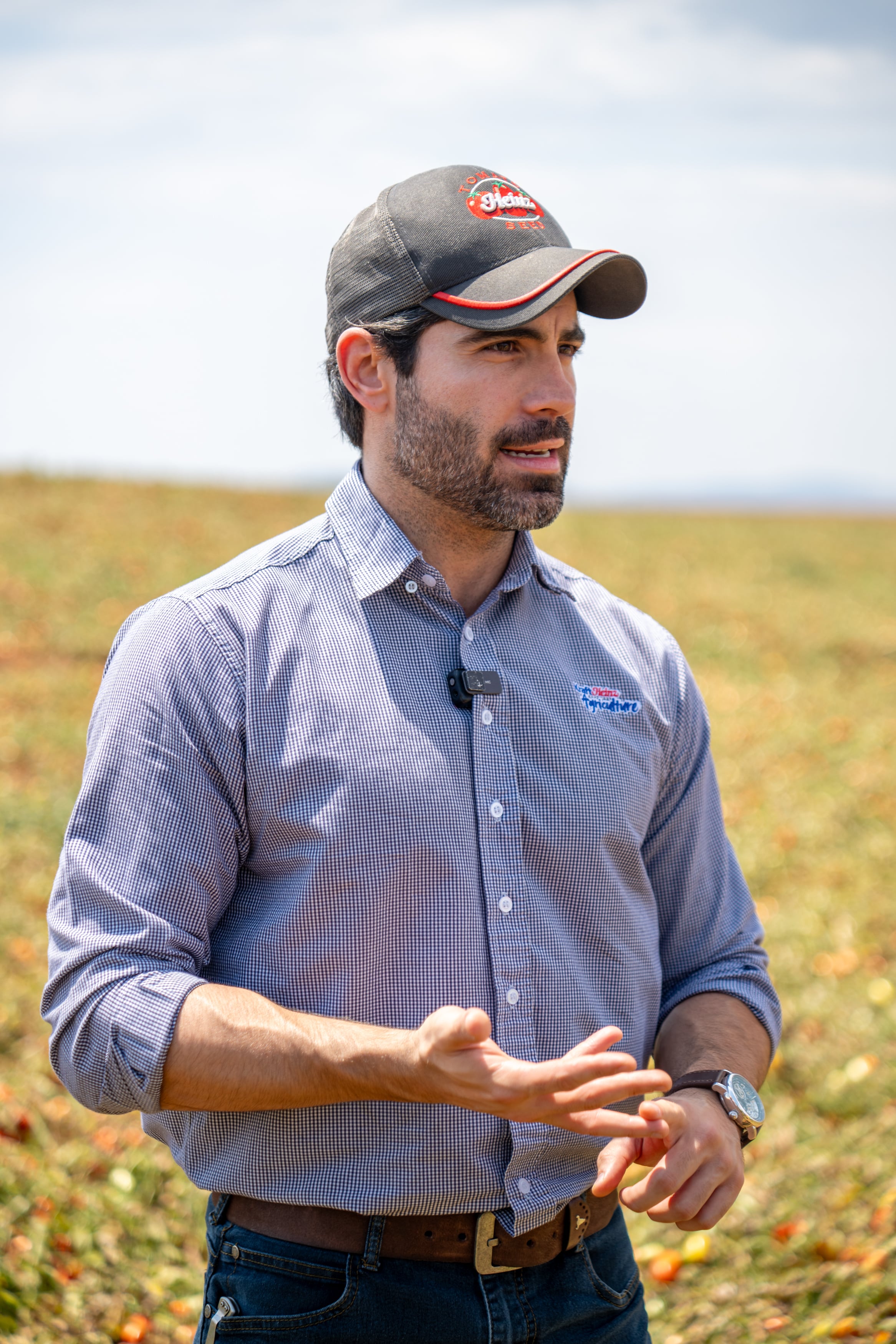 Do híbrido à colheita: como a tecnologia está mudando o cultivo do tomate