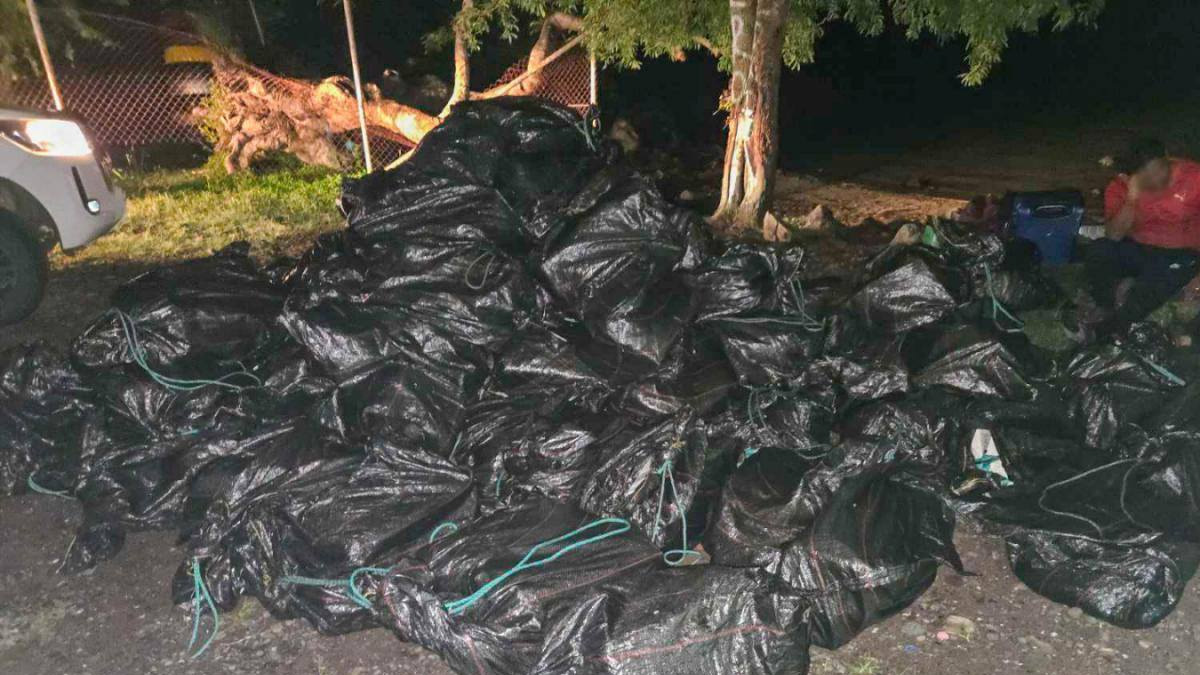Vatia cocaine trial set for February to March 2027