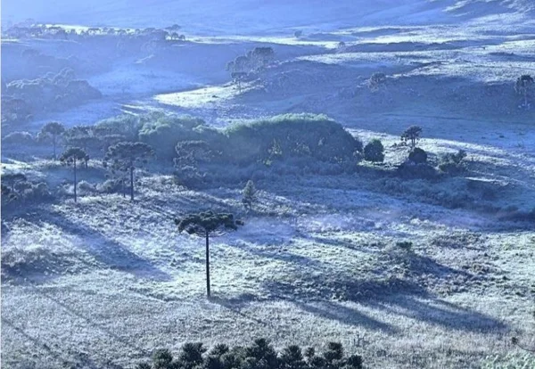 Clima: Brasil tem dia de contrastes, com geada no Sul e calor no Norte