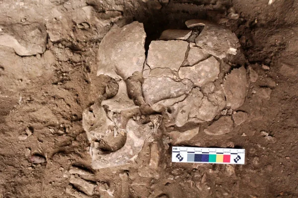 Estudo revela que seres humanos usam drogas há pelo menos 25 mil anos