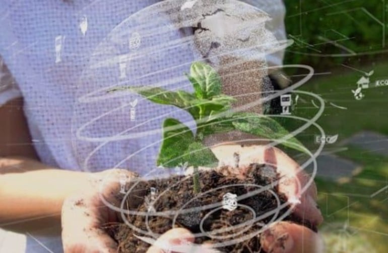 Novas tecnologias buscam melhorar o aproveitamento de nutrientes pelas plantas