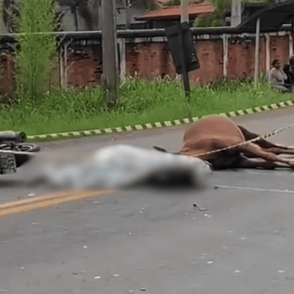 Mulher morre asfixiada com capacete após bater moto contra cavalo