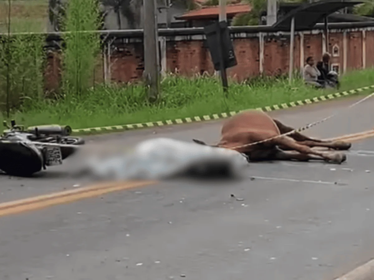 Mulher morre asfixiada com capacete após bater moto contra cavalo