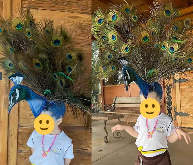 Dia das Crianças: 20 ideias de cabelo maluco que viralizaram nas redes sociais