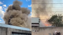 Motorista sem CNH atropela idosa, foge e é liberado após prisão em MG; vídeo flagrou acidente