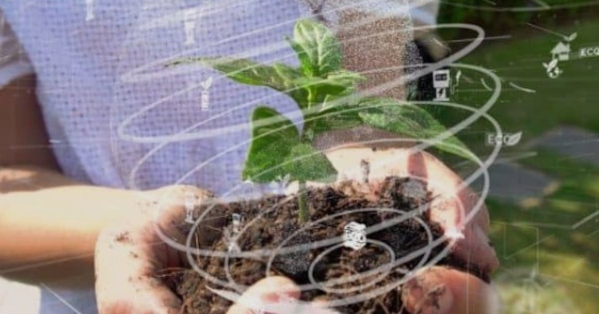 Novas tecnologias buscam melhorar o aproveitamento de nutrientes pelas plantas