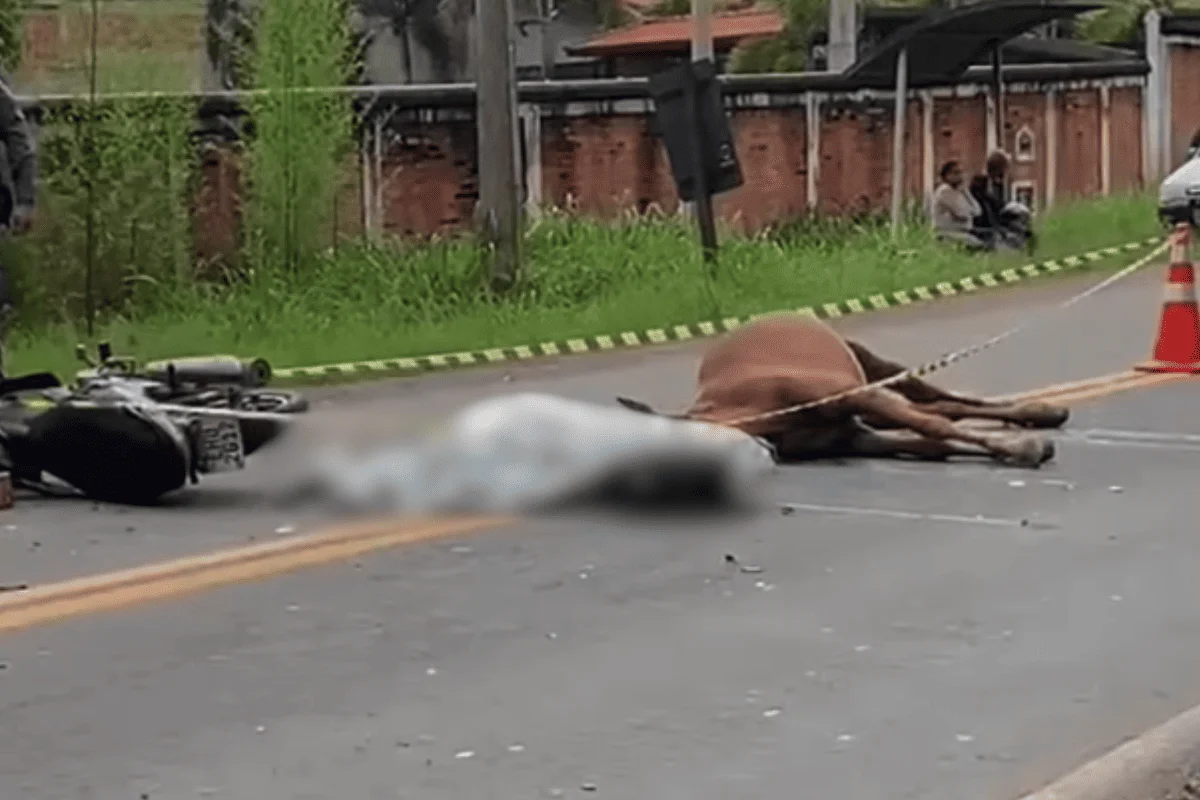 Mulher morre asfixiada com capacete após bater moto contra cavalo